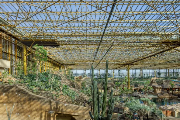 AGC-Edenya-PairaDaiza